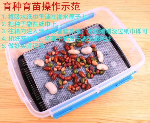 透明育苗箱 让生命在课堂中悄然绽放